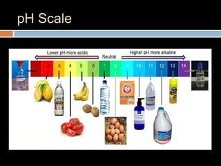 pH Scale
 