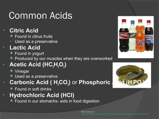 Common Acids
• Citric Acid
 Found in citrus fruits
• Used as a preservative
• Lactic Acid
 Found in yogurt
 Produced by our muscles when they are overworked
• Acetic Acid (HC2H3O2)
 Vinegar
 Used as a preservative
• Carbonic Acid ( H2CO3) or Phosphoric Acid (H3PO4)
 Found in soft drinks
• Hydrochloric Acid (HCl)
 Found in our stomachs- aids in food digestion
Photo Courtesy of:
http://stayinhealth.wordpress.com/2010/02/08/sugary-soft-drinks-increase-pancreas-cancer-risk
 