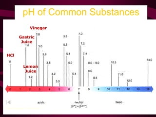 pH of Common Substances
Timberlake, Chemistry 7th Edition, page 335
HCl
Gastric
Juice
Lemon
Juice
Vinegar
 
