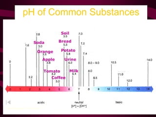 pH of Common Substances
Timberlake, Chemistry 7th Edition, page 335
Orange
Soda
Apple
Tomato
Coffee
Soil
Bread
Potato
Urine
Milk
 