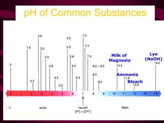 pH of Common Substances
Timberlake, Chemistry 7th Edition, page 335
Milk of
Magnesia
Ammonia
Bleach
Lye
(NaOH)
 