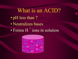What is an ACID?
• pH less than 7
• Neutralizes bases
• Forms H
+
ions in solution
H+
H+
H+
H+
H+
H+
H2O
H2O
H2O
H2O
H2O
H2O
H2O
H2O
H2O
H2O
H2O
 