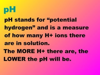 pH pH stands for “potential hydrogen” and is a measure of how many H+ ions there are in solution. The MORE H+ there are, the LOWER the pH will be. 
