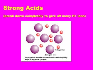 Strong Acids (break down completely to give off many H+ ions) 