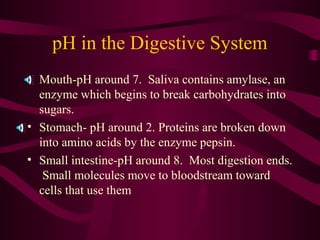 pH in the Digestive System
• Mouth-pH around 7. Saliva contains amylase, an
enzyme which begins to break carbohydrates into
sugars.
• Stomach- pH around 2. Proteins are broken down
into amino acids by the enzyme pepsin.
• Small intestine-pH around 8. Most digestion ends.
Small molecules move to bloodstream toward
cells that use them
 