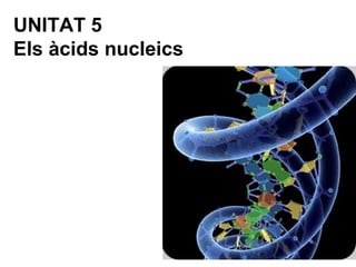 UNITAT 5
Els àcids nucleics
 