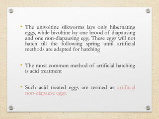 Acid treatment of silkworm eggs.pptx