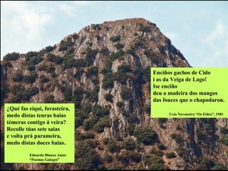 ¿Qué fas eiquí, forasteira,
medo distas tenras baias
témeras contigo á veira?
Recolle túas sete saias
e volta prá parameira,
medo distas doces baias.
Eduardo Blanco Amor
“Poemas Galegos”
Enciños gachos de Cido
i as da Veiga de Lago!
Ise enciño
deu a madeira dos mangos
das fouces que o chapodaron.
Uxío Novoneira “Os Eidos”, 1981
 