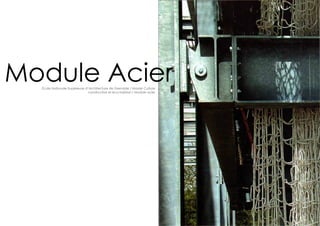 Module Acier
  école Nationale Supérieure d’Architecture de Grenoble / Master Culture
                               constructive et éco-habitat / Module acier
 