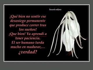 ¡Qué bien no sentir ese desosiego permanente que produce correr tras los sueños! ¡Que bien! Ya aprendí a tener paciencia. El ser humano tarda mucho en madurar,…  ¿verdad? 
