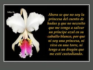 Ahora se que no soy la princesa del cuento de hadas y que no necesito que me venga a salvar un príncipe azul en su caballo blanco, por que ni soy una princesa, ni vivo en una torre, ni tengo a un dragón que me esté custodiando. 
