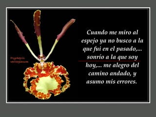 Cuando me miro al espejo ya no busco a la que fui en el pasado,... sonrío a la que soy hoy,... me alegro del camino andado, y asumo mis errores.  