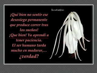 ¡Qué bien no sentir ese desosiego permanente que produce correr tras los sueños! ¡Que bien! Ya aprendí a tener paciencia. El ser humano tarda mucho en madurar,…  ¿verdad? 