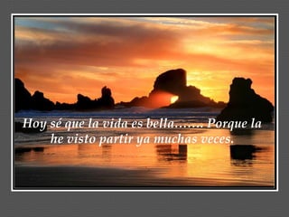 Hoy sé que la vida es bella……. Porque la he visto partir ya muchas veces. 