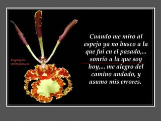 Cuando me miro al espejo ya no busco a la que fui en el pasado,... sonrío a la que soy hoy,... me alegro del camino andado, y asumo mis errores.  
