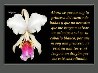 Ahora se que no soy la princesa del cuento de hadas y que no necesito que me venga a salvar un príncipe azul en su caballo blanco, por que ni soy una princesa, ni vivo en una torre, ni tengo a un dragón que me esté custodiando. 