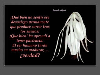 ¡Qué bien no sentir ese
  desosiego permanente
que produce correr tras
        los sueños!
¡Que bien! Ya aprendí a
     tener paciencia.
   El ser humano tarda
  mucho en madurar,…
      ¿verdad?
 