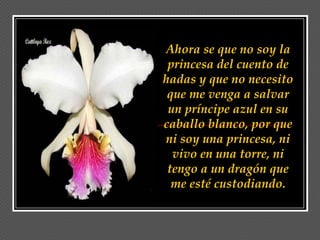 Ahora se que no soy la
 princesa del cuento de
hadas y que no necesito
 que me venga a salvar
 un príncipe azul en su
caballo blanco, por que
ni soy una princesa, ni
  vivo en una torre, ni
 tengo a un dragón que
  me esté custodiando.
 