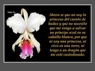 Ahora se que no soy la princesa del cuento de hadas y que no necesito que me venga a salvar un príncipe azul en su caballo blanco, por que ni soy una princesa, ni vivo en una torre, ni tengo a un dragón que me esté custodiando. 