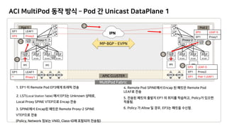ACI MultiFabric 소개 | PDF