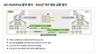 ACI MultiFabric 소개 | PDF