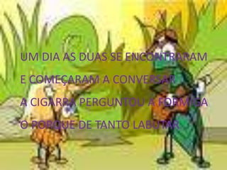 UM DIA AS DUAS SE ENCONTRARAME COMEÇARAM A CONVERSARA CIGARRA PERGUNTOU A FORMIGAO PORQUE DE TANTO LABUTAR