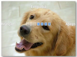 EmpatiaRejeiçãoApego