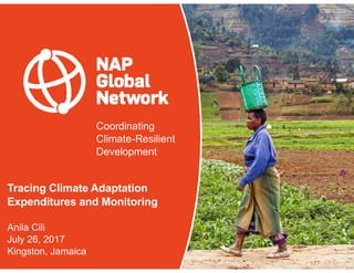 Coordinating
Climate-Resilient
Development
Tracing Climate Adaptation
Expenditures and Monitoring
Anila Cili
July 26, 2017...