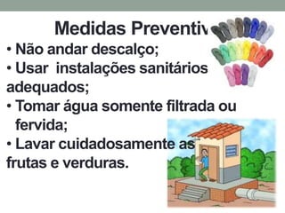 Medidas Preventivas
• Não andar descalço;
• Usar instalações sanitários
adequados;
• Tomar água somente filtrada ou
  fervida;
• Lavar cuidadosamente as
frutas e verduras.
 