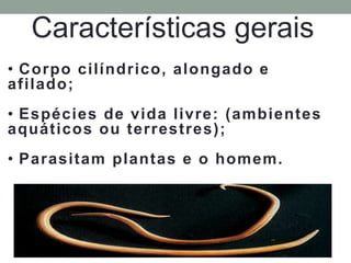 Características gerais
• Corpo cilíndrico, alongado e
afilado;
• Espécies de vida livre: (ambientes
aquáticos ou terrestres);
• Parasitam plantas e o homem.
 