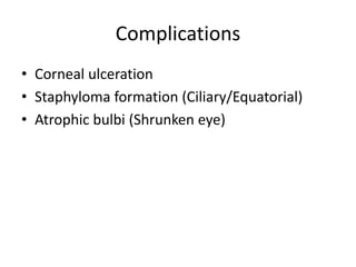 Complications
• Corneal ulceration
• Staphyloma formation (Ciliary/Equatorial)
• Atrophic bulbi (Shrunken eye)
 