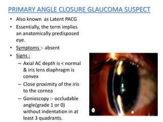 acinal.pptx