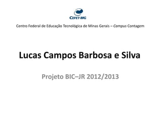Centro Federal de Educação Tecnológica de Minas Gerais – Campus Contagem

Lucas Campos Barbosa e Silva
Projeto BIC–JR 2012/2013

 