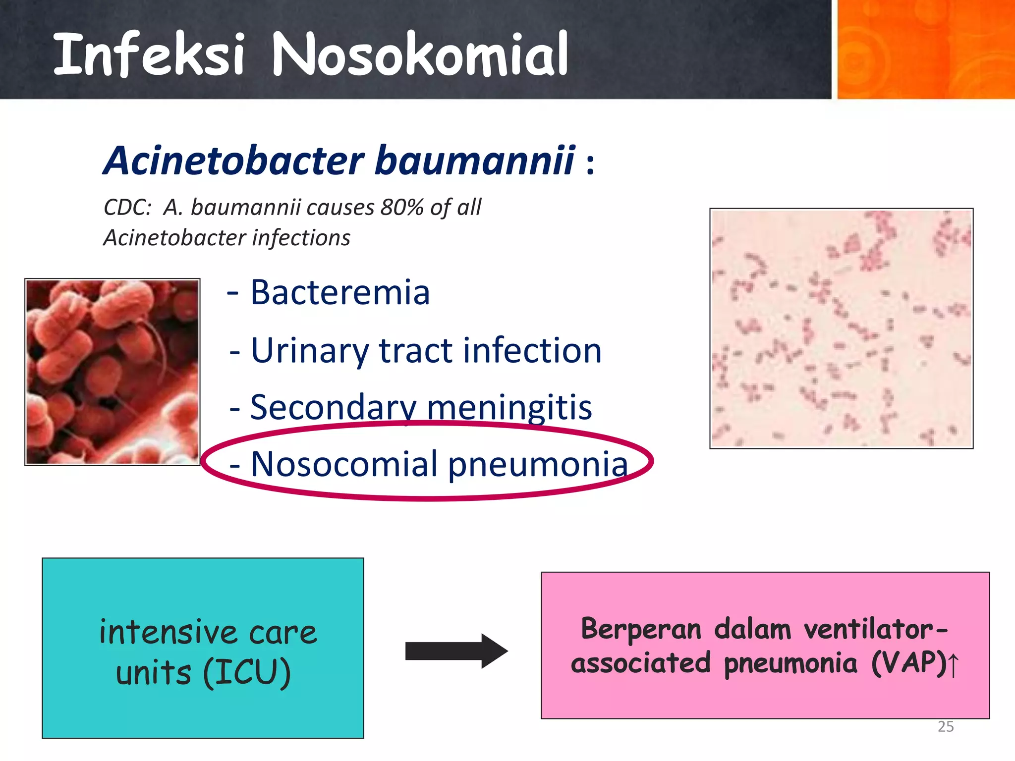 Infeksi Nosokomial
Acinetobacter baumannii :
CDC: A. baumannii causes 80% of all
Acinetobacter infections

- Bacteremia
- Urinary tract infection
- Secondary meningitis
- Nosocomial pneumonia

intensive care
units (ICU)

Berperan dalam ventilatorassociated pneumonia (VAP)↑
25

 