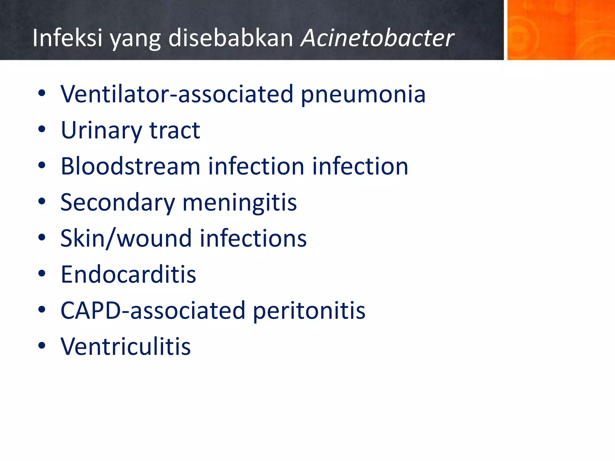 Infeksi yang disebabkan Acinetobacter
•
•
•
•
•
•
•
•

Ventilator-associated pneumonia
Urinary tract
Bloodstream infection infection
Secondary meningitis
Skin/wound infections
Endocarditis
CAPD-associated peritonitis
Ventriculitis

 