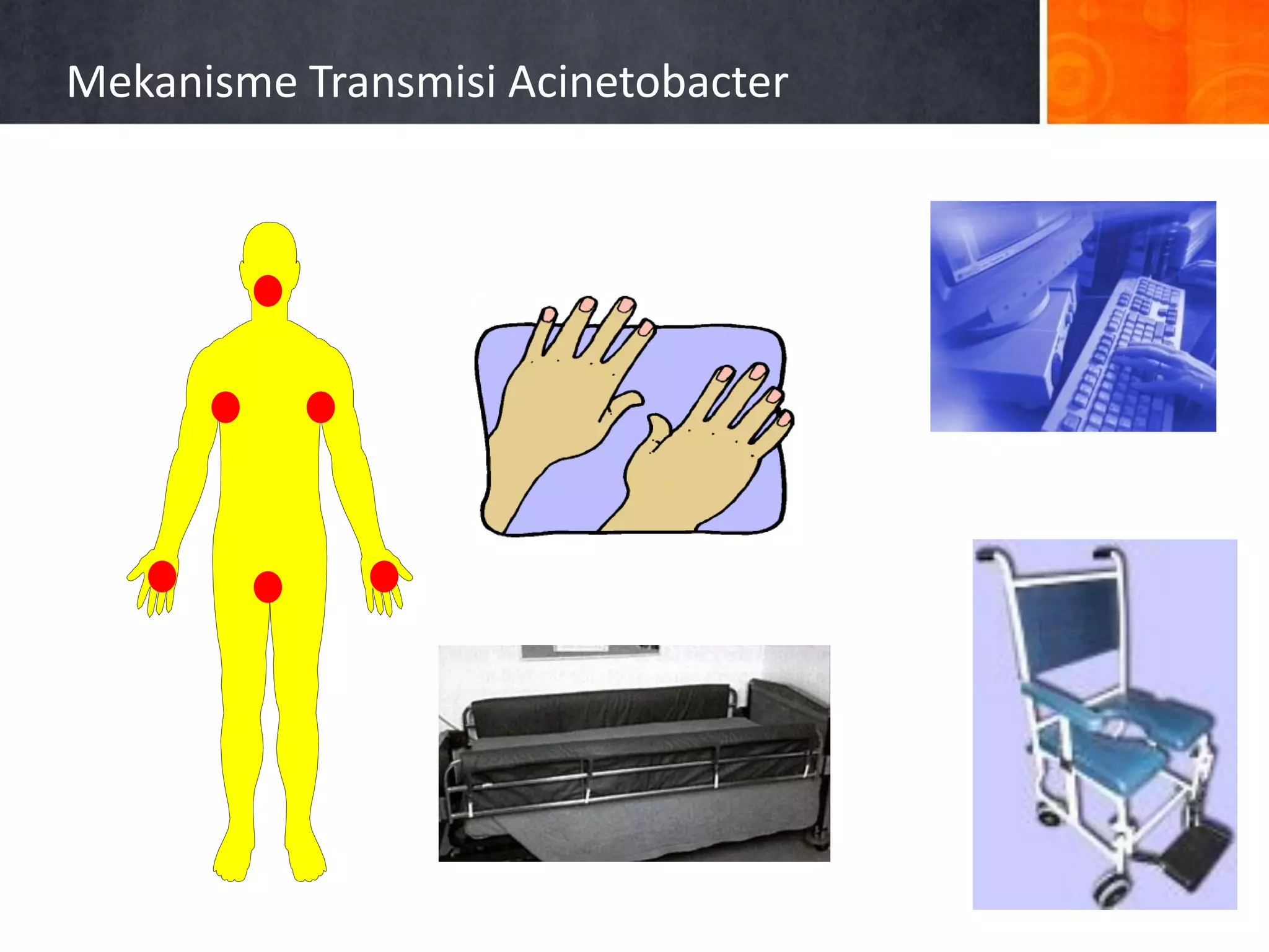 Mekanisme Transmisi Acinetobacter

 