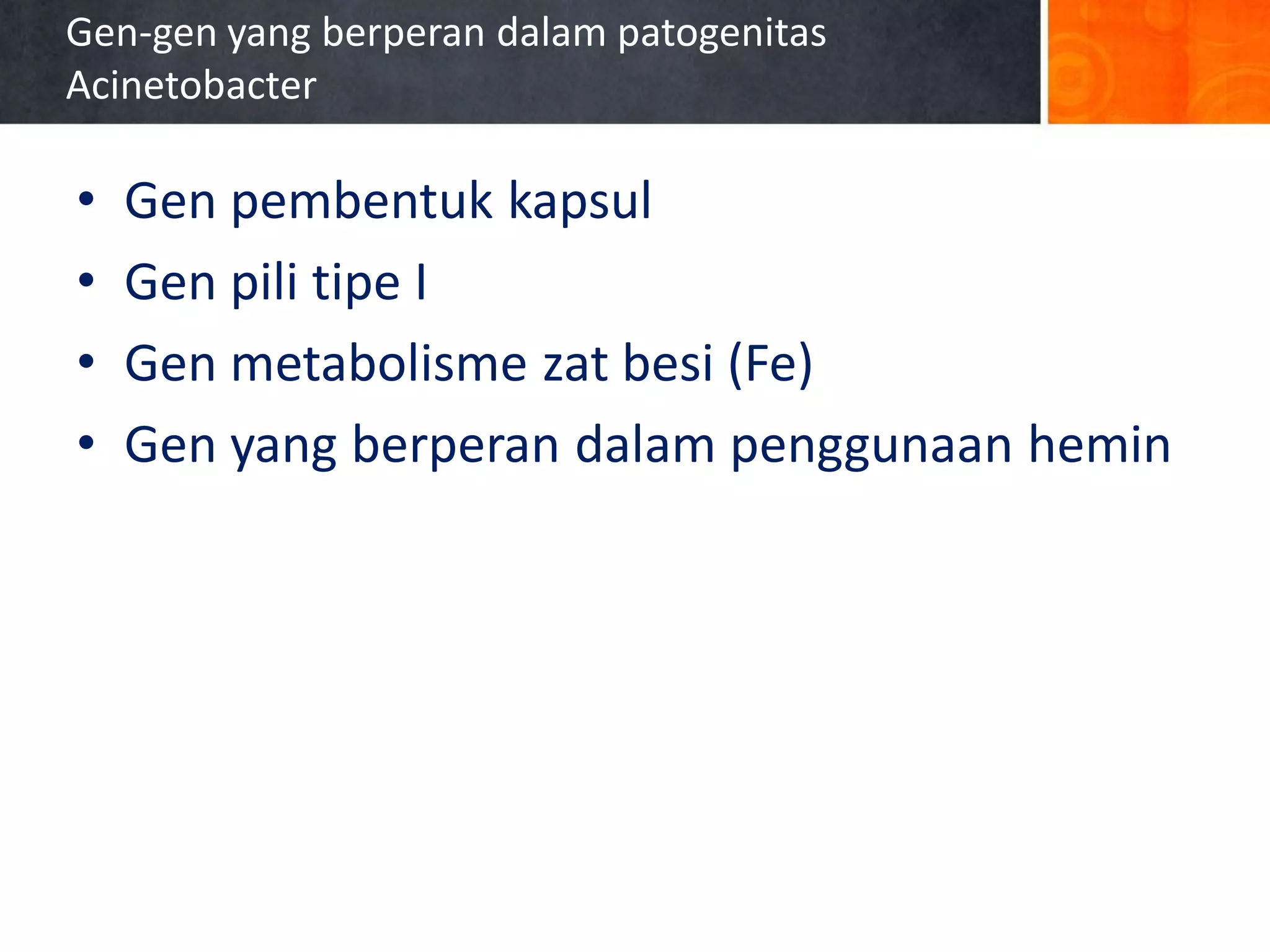 Gen-gen yang berperan dalam patogenitas
Acinetobacter

•
•
•
•

Gen pembentuk kapsul
Gen pili tipe I
Gen metabolisme zat besi (Fe)
Gen yang berperan dalam penggunaan hemin

 