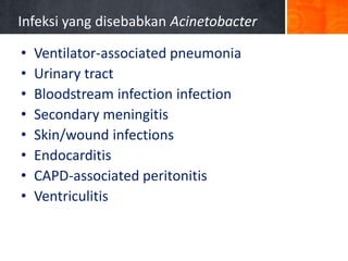 Infeksi yang disebabkan Acinetobacter
•
•
•
•
•
•
•
•

Ventilator-associated pneumonia
Urinary tract
Bloodstream infection infection
Secondary meningitis
Skin/wound infections
Endocarditis
CAPD-associated peritonitis
Ventriculitis

 