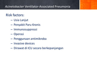 Acinetobacter Ventilator-Associated Pneumonia

Risk factors:
–
–
–
–
–
–
–

Usia Lanjut
Penyakit Paru Kronis
Immunosuppressi
Operasi
Penggunaan antimikroba
Invasive devices
Dirawat di ICU secara berkepanjangan

 