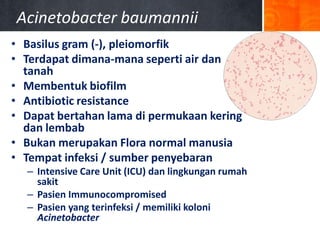 Acinetobacter baumannii
• Basilus gram (-), pleiomorfik
• Terdapat dimana-mana seperti air dan
tanah
• Membentuk biofilm
• Antibiotic resistance
• Dapat bertahan lama di permukaan kering
dan lembab
• Bukan merupakan Flora normal manusia
• Tempat infeksi / sumber penyebaran
– Intensive Care Unit (ICU) dan lingkungan rumah
sakit
– Pasien Immunocompromised
– Pasien yang terinfeksi / memiliki koloni
Acinetobacter

 