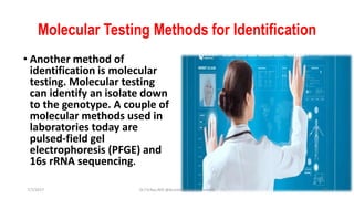 Molecular Testing Methods for Identification
• Another method of
identification is molecular
testing. Molecular testing
can identify an isolate down
to the genotype. A couple of
molecular methods used in
laboratories today are
pulsed-field gel
electrophoresis (PFGE) and
16s rRNA sequencing.
7/7/2017 Dr.T.V.Rao MD @Acinetobacter baumannii 16
 