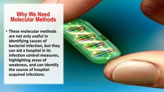 Why We Need
Molecular Methods
• These molecular methods
are not only useful in
identifying causes of
bacterial infection, but they
can aid a hospital in its
infection control measures,
highlighting areas of
weakness, and can identify
the source of hospital-
acquired infections.
7/7/2017 Dr.T.V.Rao MD @Acinetobacter baumannii 17
 