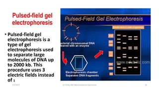 Pulsed-field gel
electrophoresis
• Pulsed-field gel
electrophoresis is a
type of gel
electrophoresis used
to separate large
molecules of DNA up
to 2000 kb. This
procedure uses 3
electric fields instead
of 1
7/7/2017 Dr.T.V.Rao MD @Acinetobacter baumannii 18
 