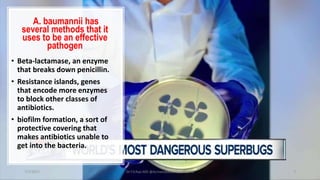 A. baumannii has
several methods that it
uses to be an effective
pathogen
• Beta-lactamase, an enzyme
that breaks down penicillin.
• Resistance islands, genes
that encode more enzymes
to block other classes of
antibiotics.
• biofilm formation, a sort of
protective covering that
makes antibiotics unable to
get into the bacteria.
7/7/2017 Dr.T.V.Rao MD @Acinetobacter baumannii 7
 