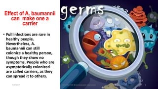 Effect of A. baumannii
can make one a
carrier
• Full infections are rare in
healthy people.
Nevertheless, A.
baumannii can still
colonize a healthy person,
though they show no
symptoms. People who are
asymptotically colonized
are called carriers, as they
can spread it to others.
7/7/2017 Dr.T.V.Rao MD @Acinetobacter baumannii 8
 