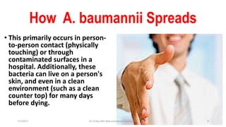 How A. baumannii Spreads
• This primarily occurs in person-
to-person contact (physically
touching) or through
contaminated surfaces in a
hospital. Additionally, these
bacteria can live on a person's
skin, and even in a clean
environment (such as a clean
counter top) for many days
before dying.
7/7/2017 Dr.T.V.Rao MD @Acinetobacter baumannii 9
 
