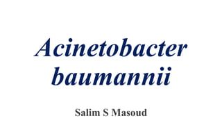 Acinetobacter
baumannii
Salim S Masoud
 