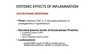 ACUTE INFLAMMATION- CHEMICAL MEDIATORS AND ROLE OF LYMPHATICS AN OVER ...