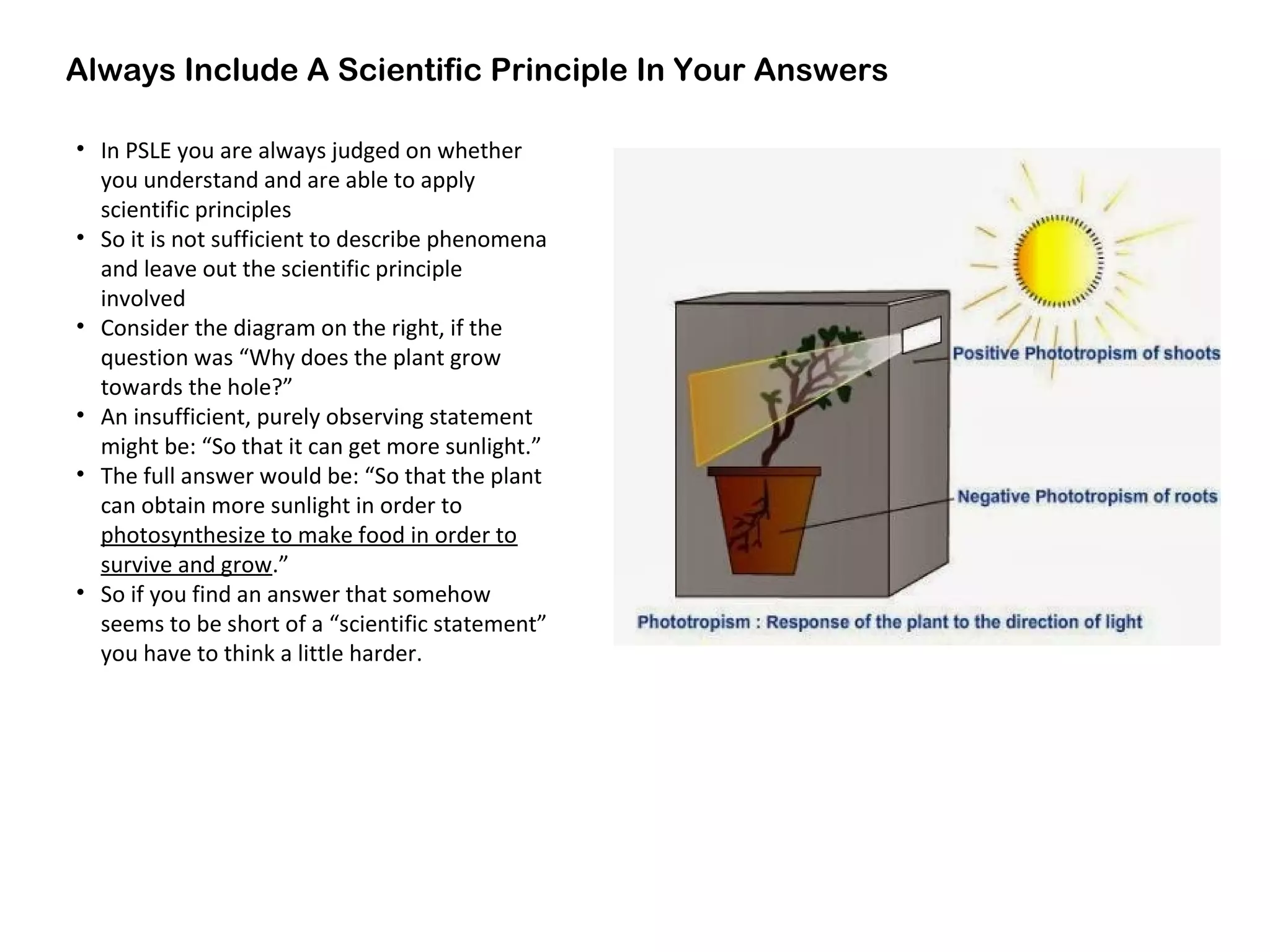 Always Include A Scientific Principle In Your Answers
• In PSLE you are always judged on whether
you understand and are able to apply
scientific principles
• So it is not sufficient to describe phenomena
and leave out the scientific principle
involved
• Consider the diagram on the right, if the
question was “Why does the plant grow
towards the hole?”
• An insufficient, purely observing statement
might be: “So that it can get more sunlight.”
• The full answer would be: “So that the plant
can obtain more sunlight in order to
photosynthesize to make food in order to
survive and grow.”
• So if you find an answer that somehow
seems to be short of a “scientific statement”
you have to think a little harder.
 