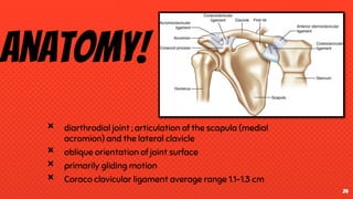 Anatomy!
× diarthrodial joint ; articulation of the scapula (medial
acromion) and the lateral clavicle
× oblique orientation of joint surface
× primarily gliding motion
× Coraco clavicular ligament average range 1.1-1.3 cm
24
 